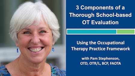Infographic of 3 Components of a School-based OT Evaluation webinar