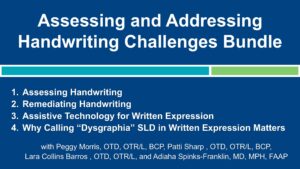 Handwriting Bundle Infographic